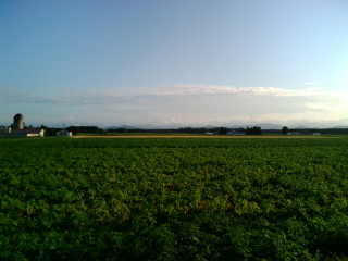 十勝平野.jpg
