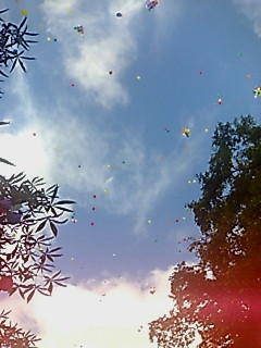 風船飛ばし2007.jpg